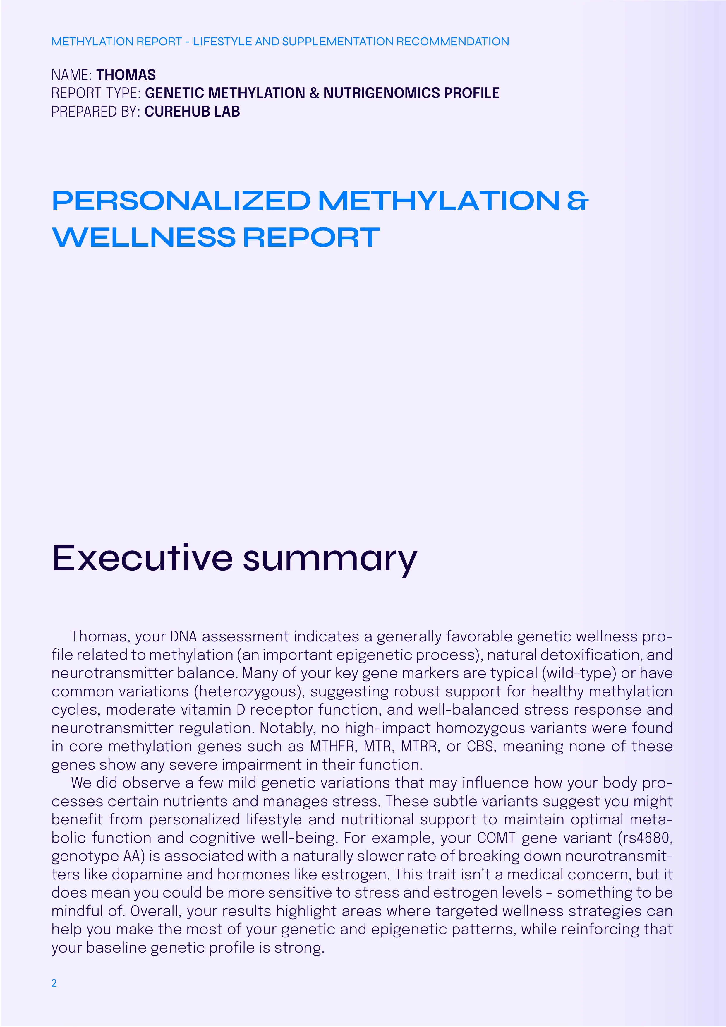 Sample executive summary page from a Curehub report